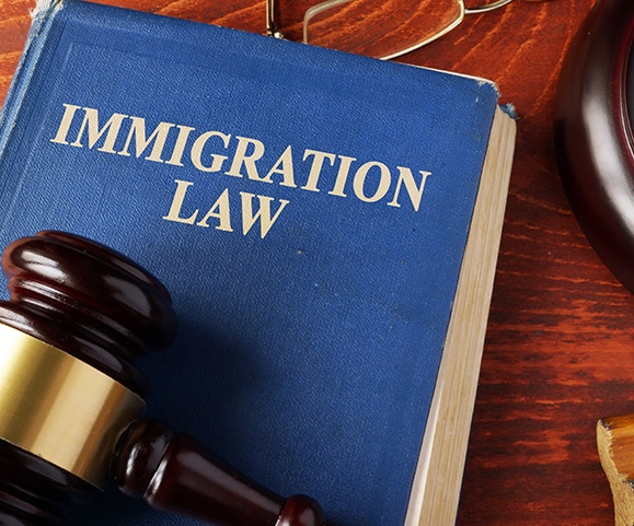 Deportation 2 Deportation 2
